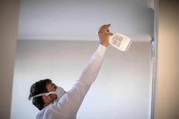 Best Attic Mold Remediation in South Milwaukee, WI