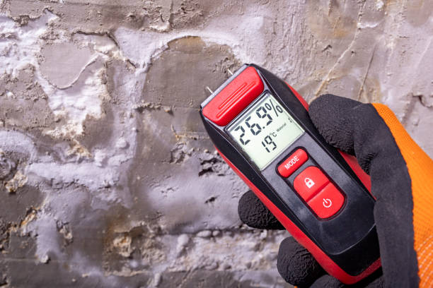 Best HVAC Mold Remediation in South Milwaukee, WI
